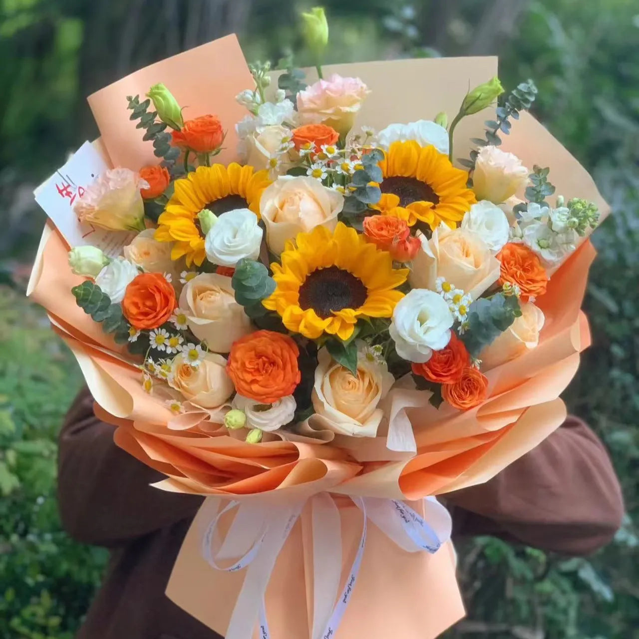 向日葵|Sunflower 10