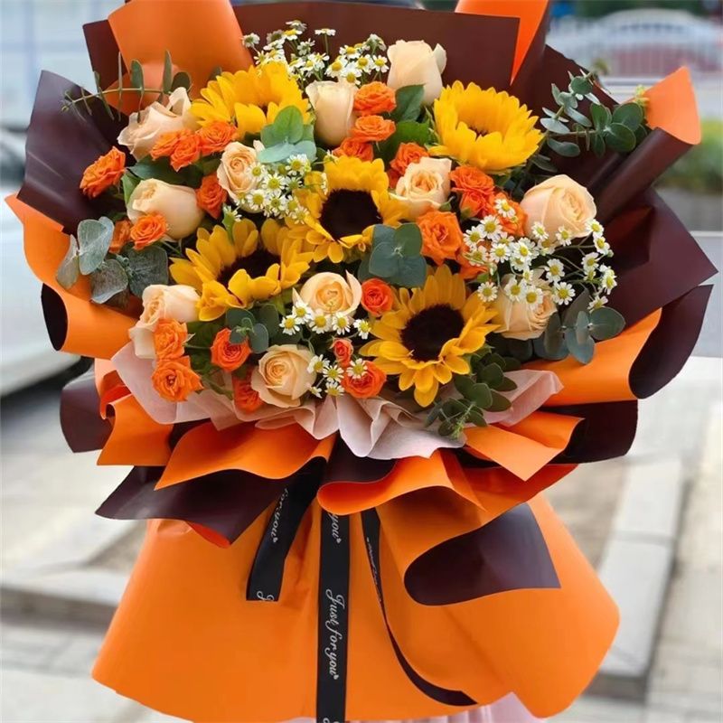 向日葵|Sunflower 06