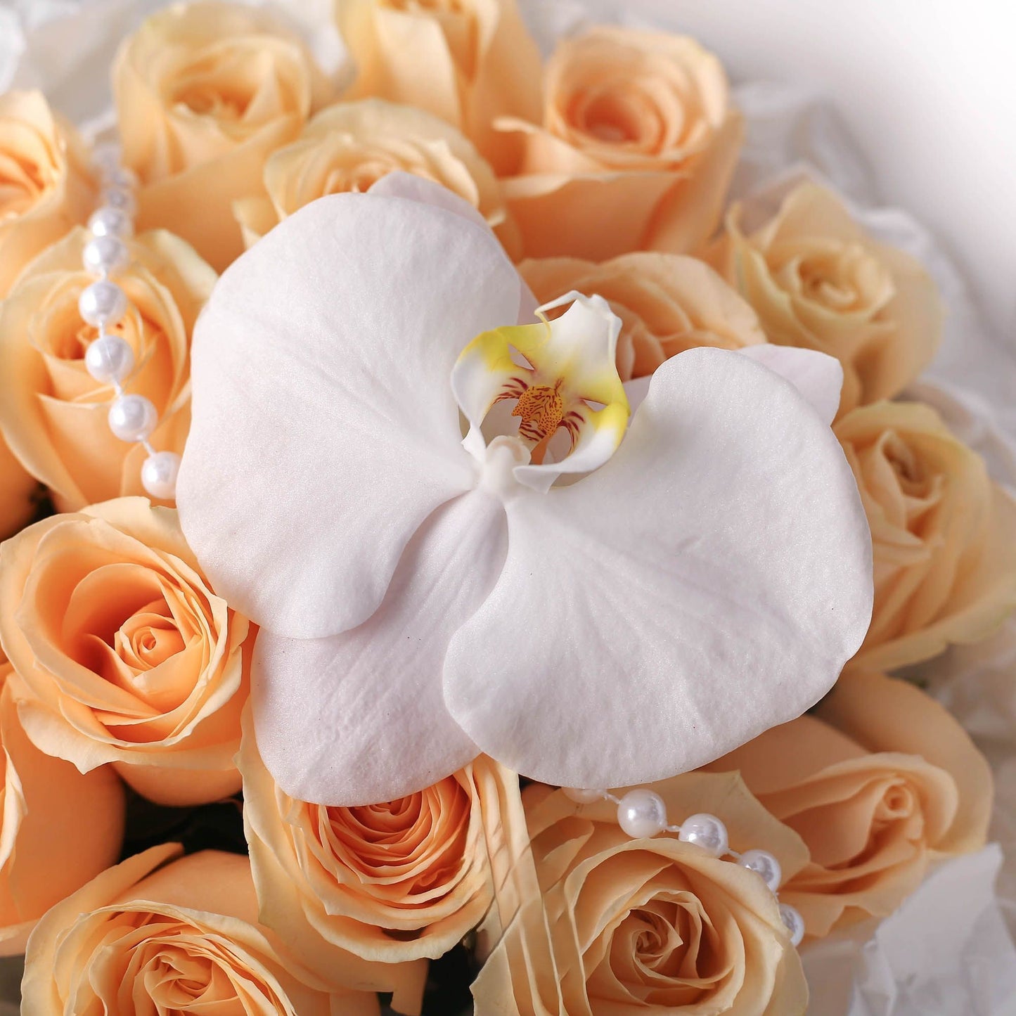 19/33枝|香檳玫瑰鮮花束|鍾情于你