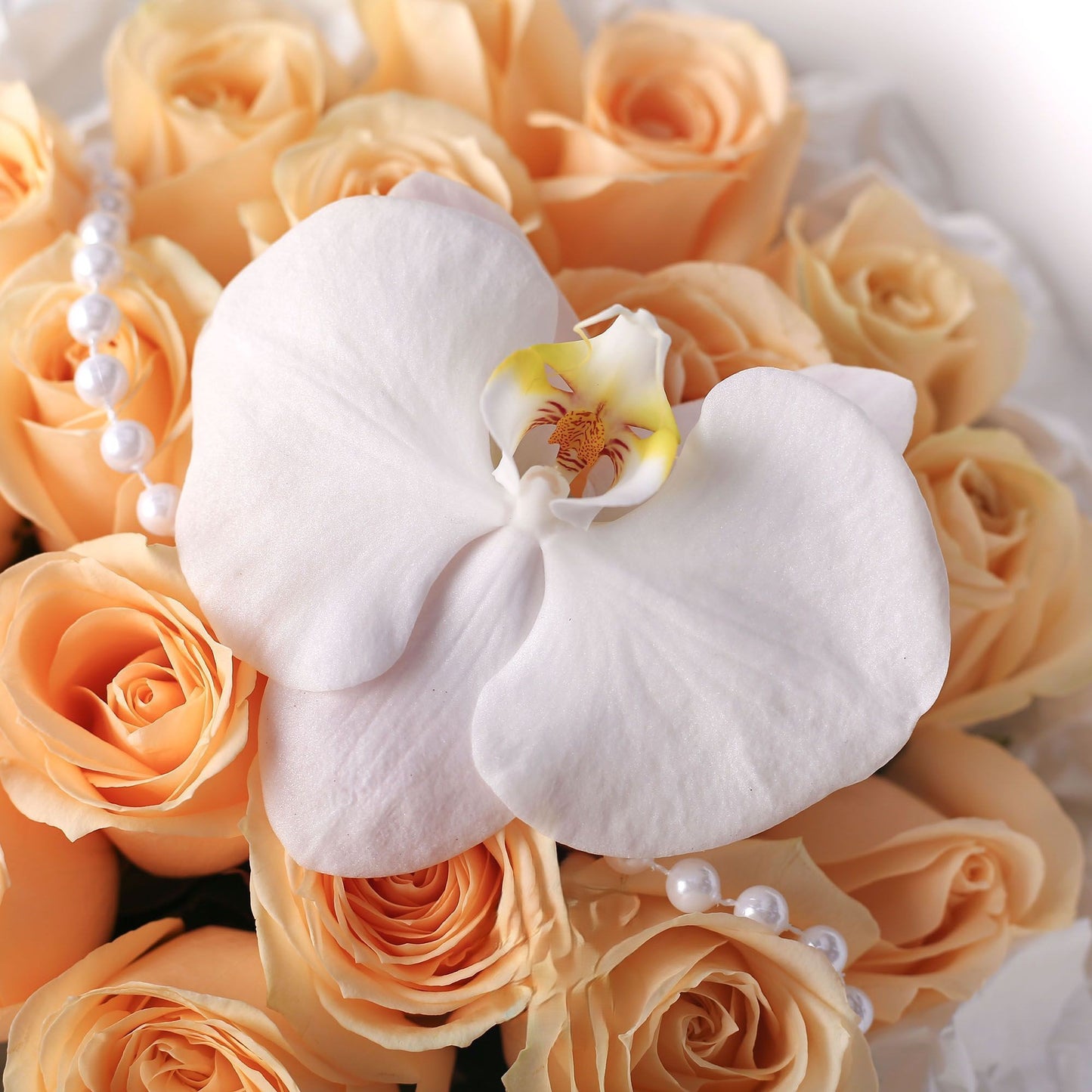 19/33枝|香檳玫瑰鮮花束|鍾情于你