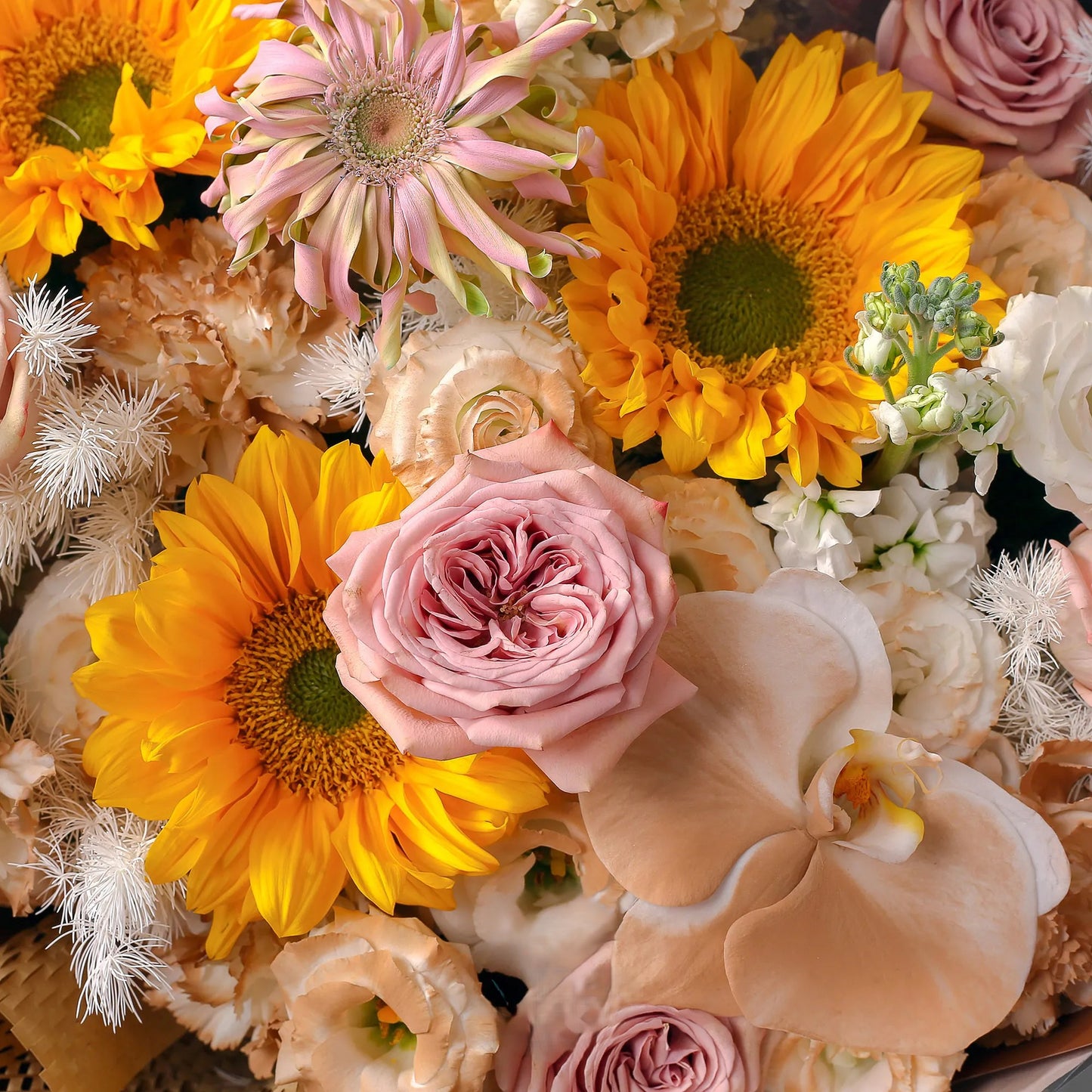 未來可期|向日葵卡布奇諾蝴蝶蘭混搭鮮花束