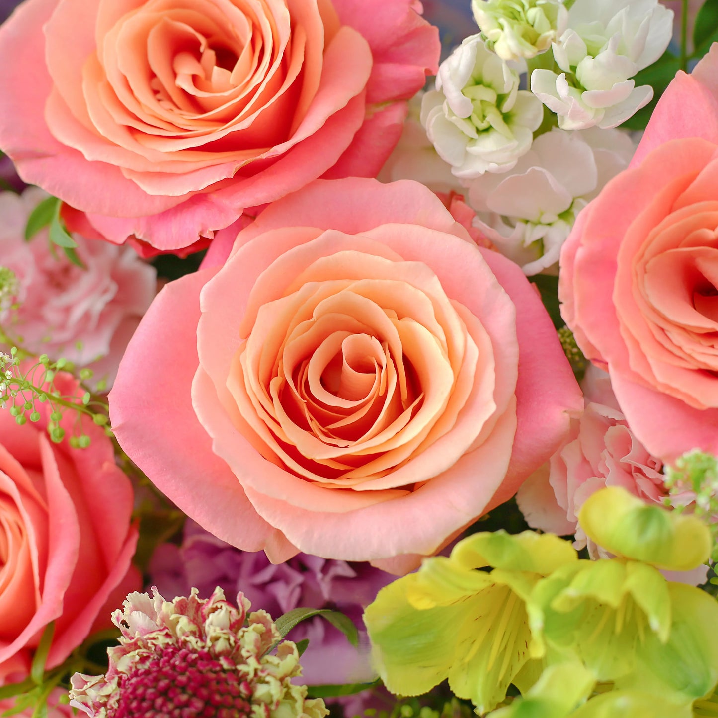 紫玫瑰桔梗混搭鮮花束|芳華