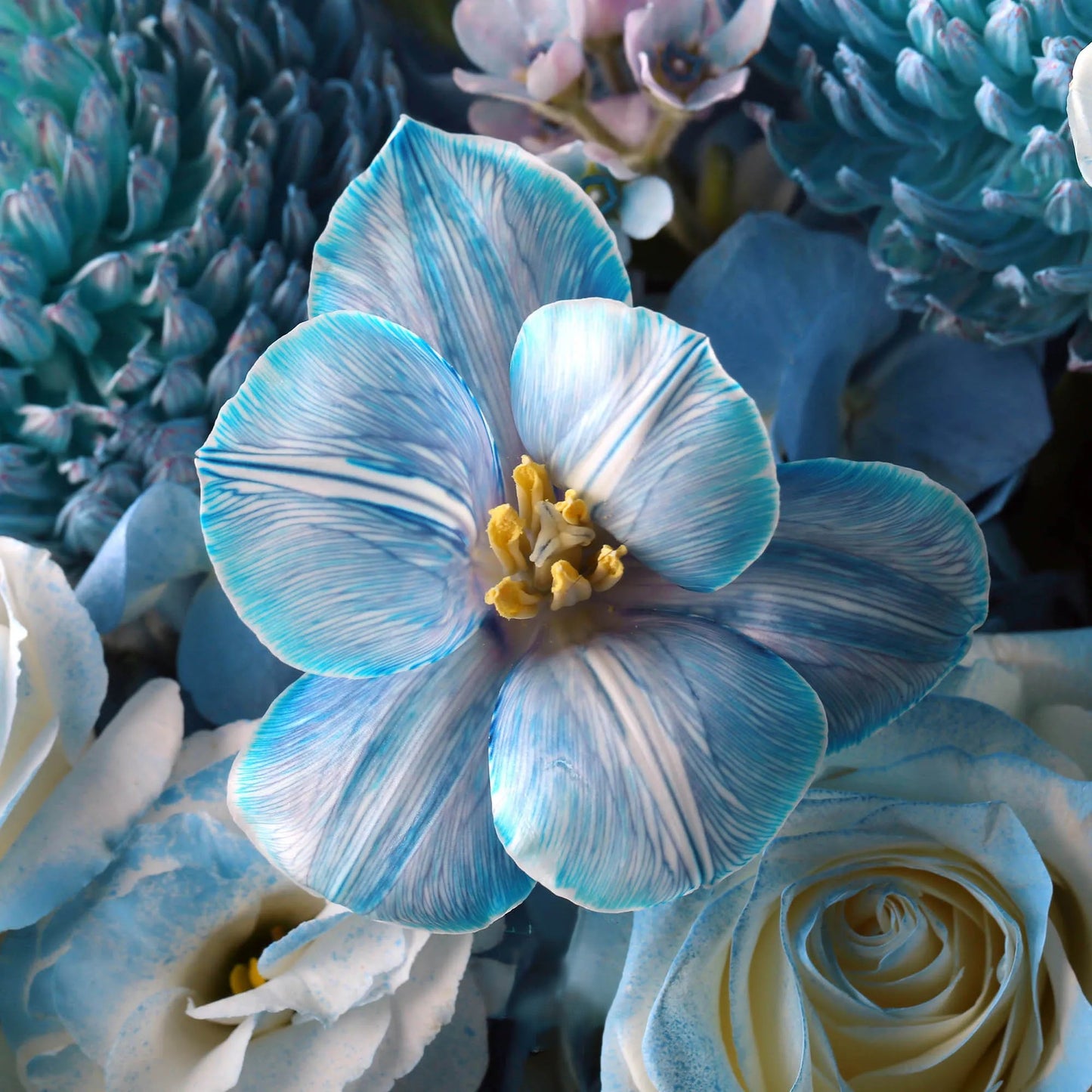 碎冰藍鬱金香混搭鮮花束|藍田種玉