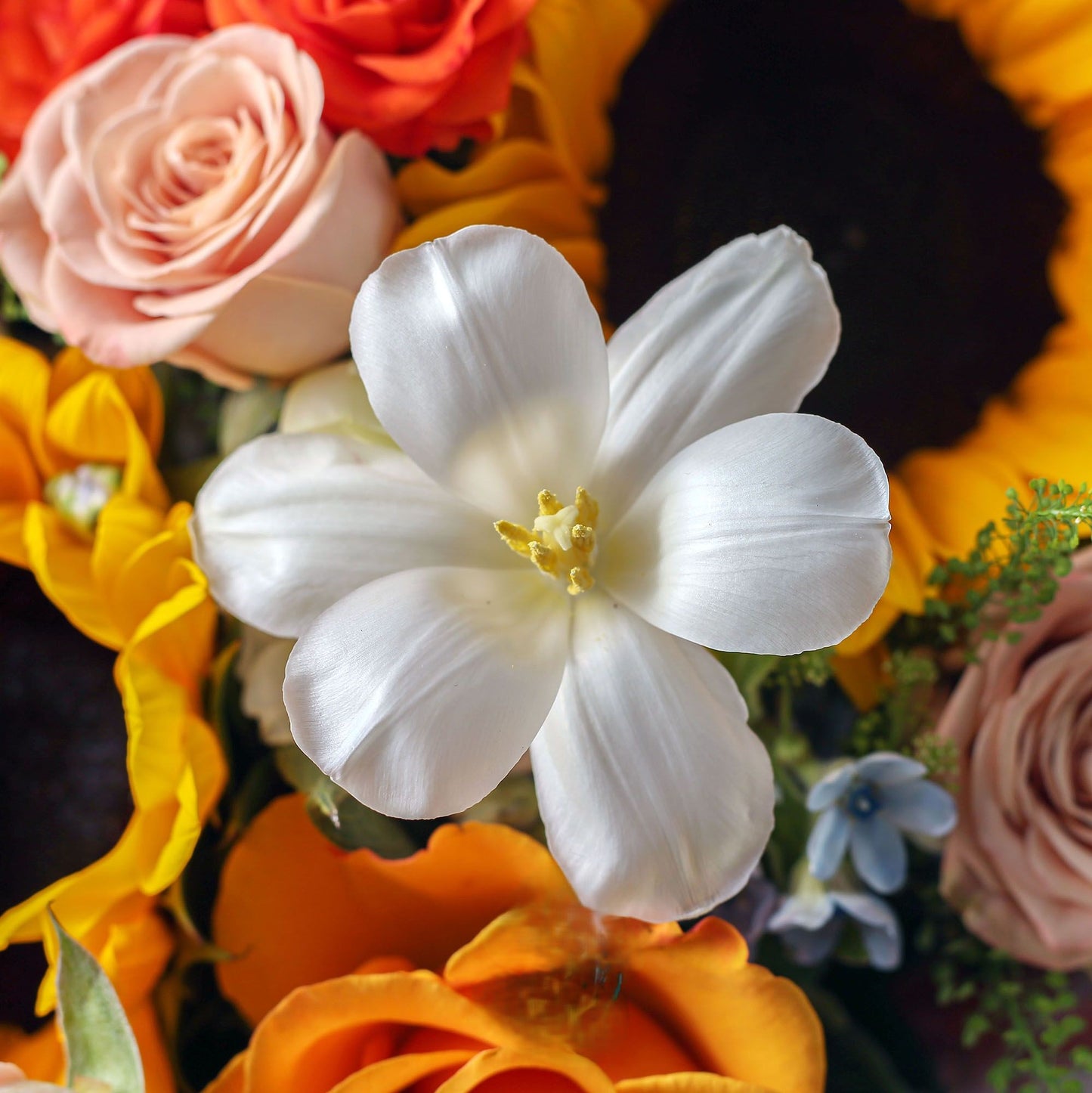 向日葵卡布奇諾混搭鮮花束|青春向陽